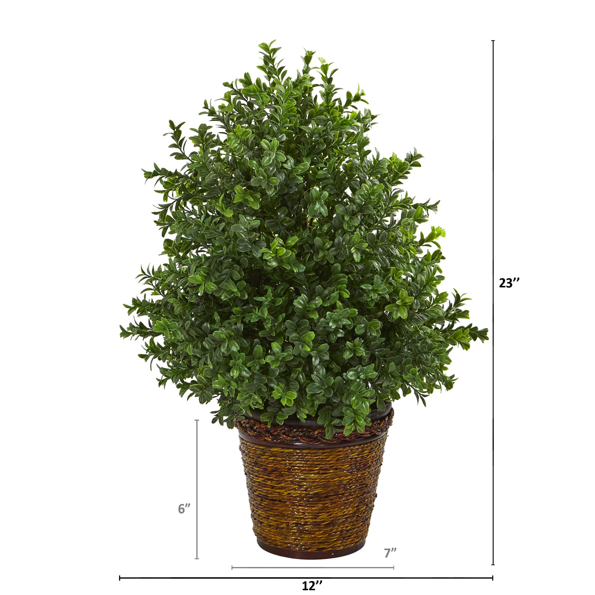 23" Sweet Grass in Basket